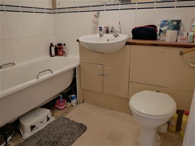 Picture 11